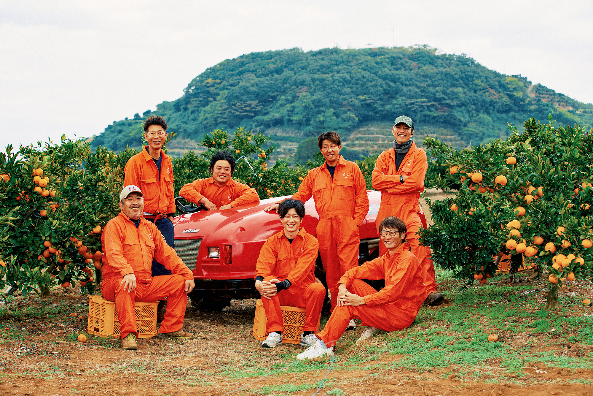 ぎょくだん近影